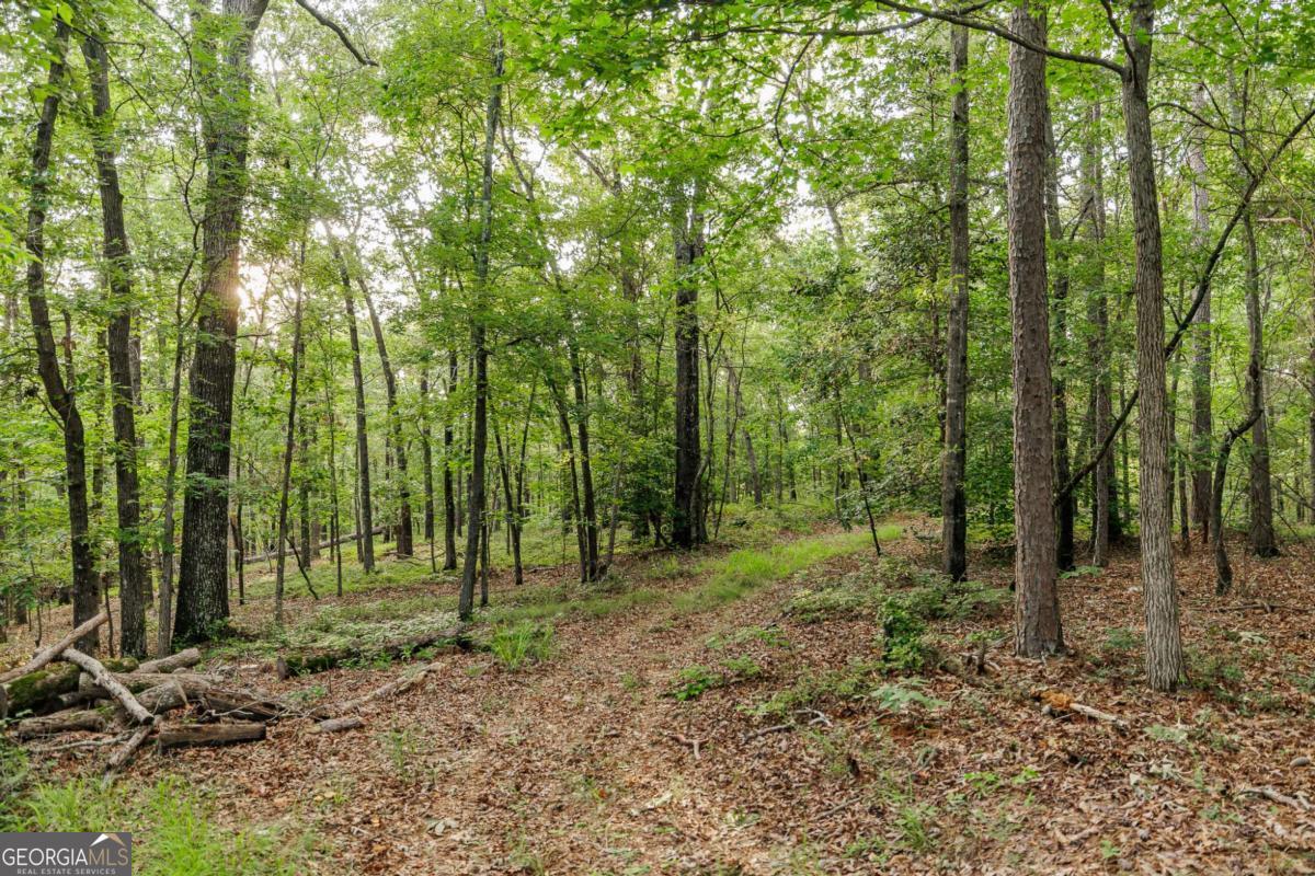 706 Sam Bruce Road Property Photo 75