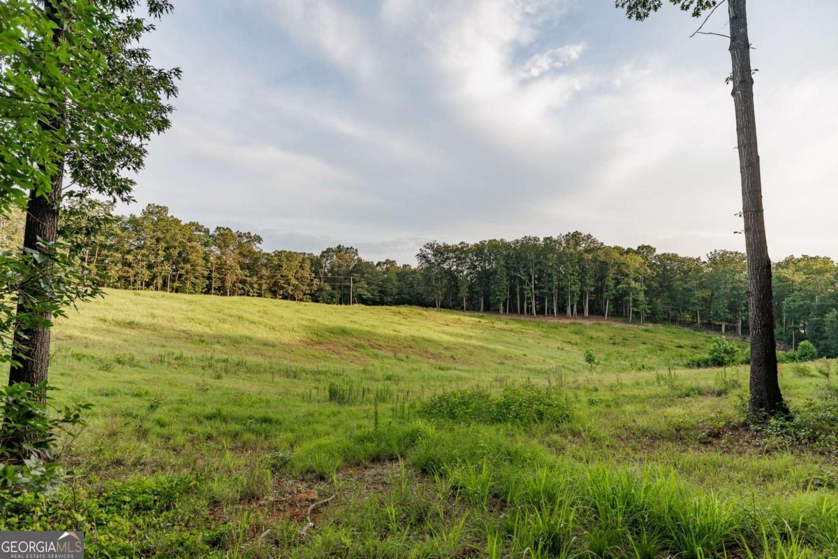 706 Sam Bruce Road Property Photo 76