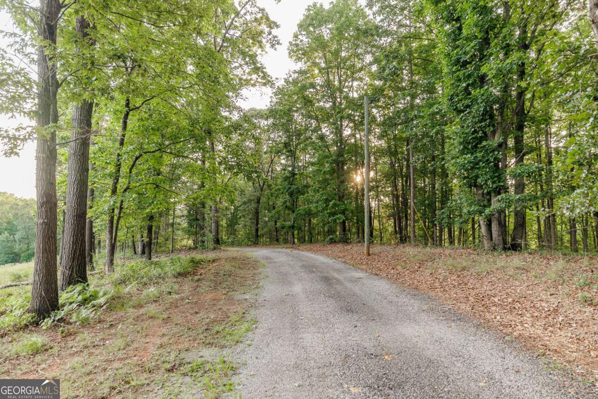 706 Sam Bruce Road Property Photo 77