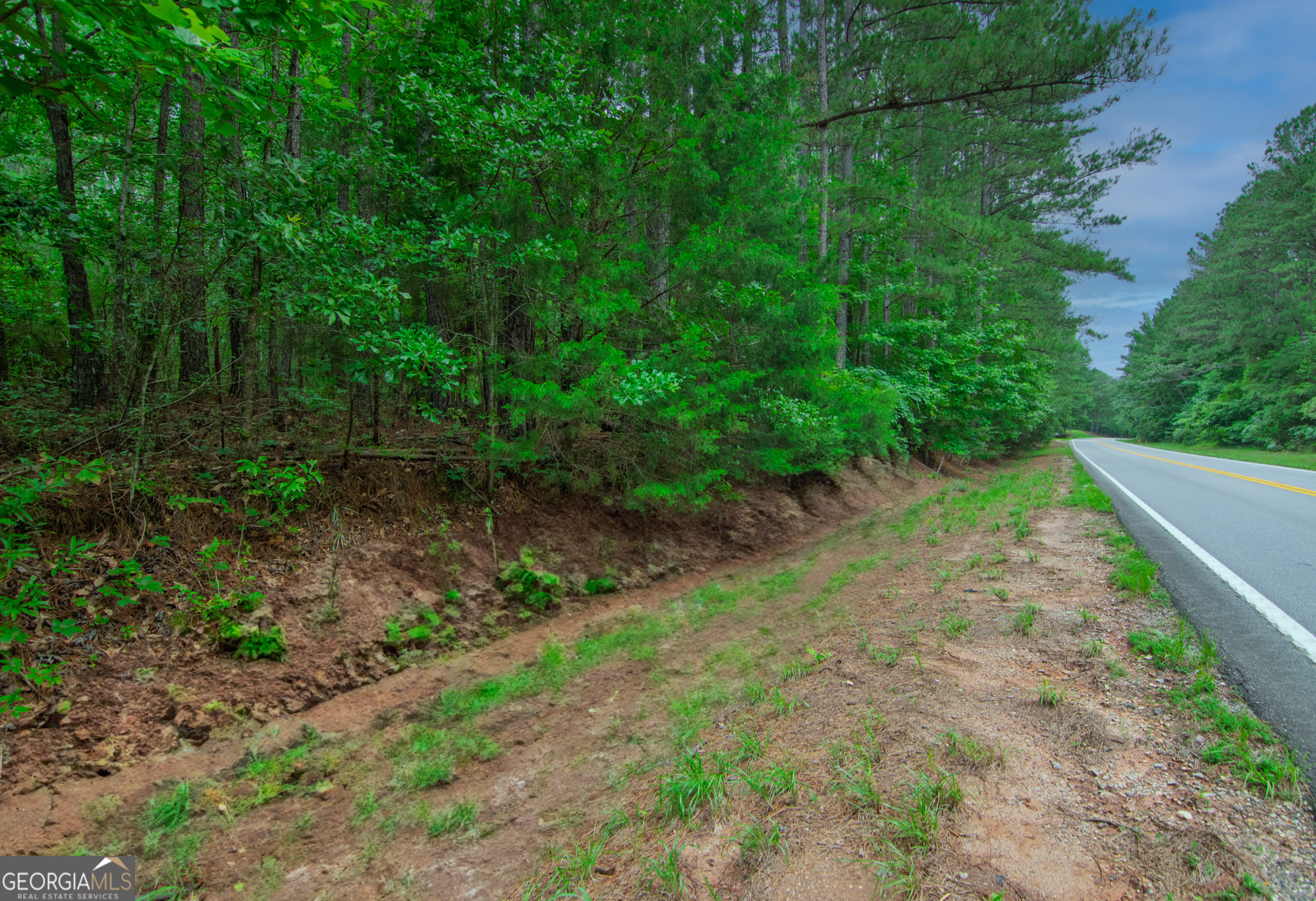 0 Ga Hwy 103 Property Photo 1
