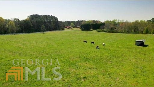 460 Dixie Road Property Photo 1