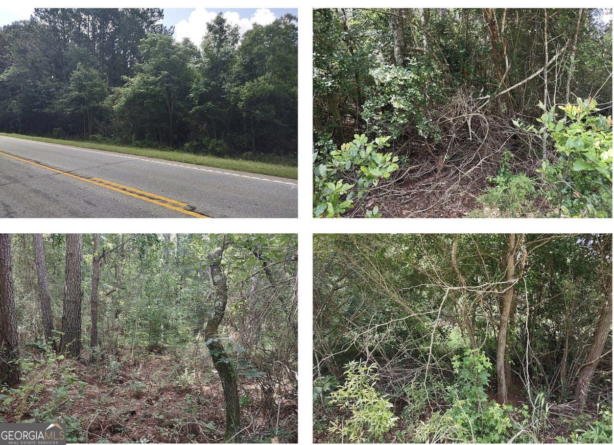 0 Barnesville Highway Property Photo 1