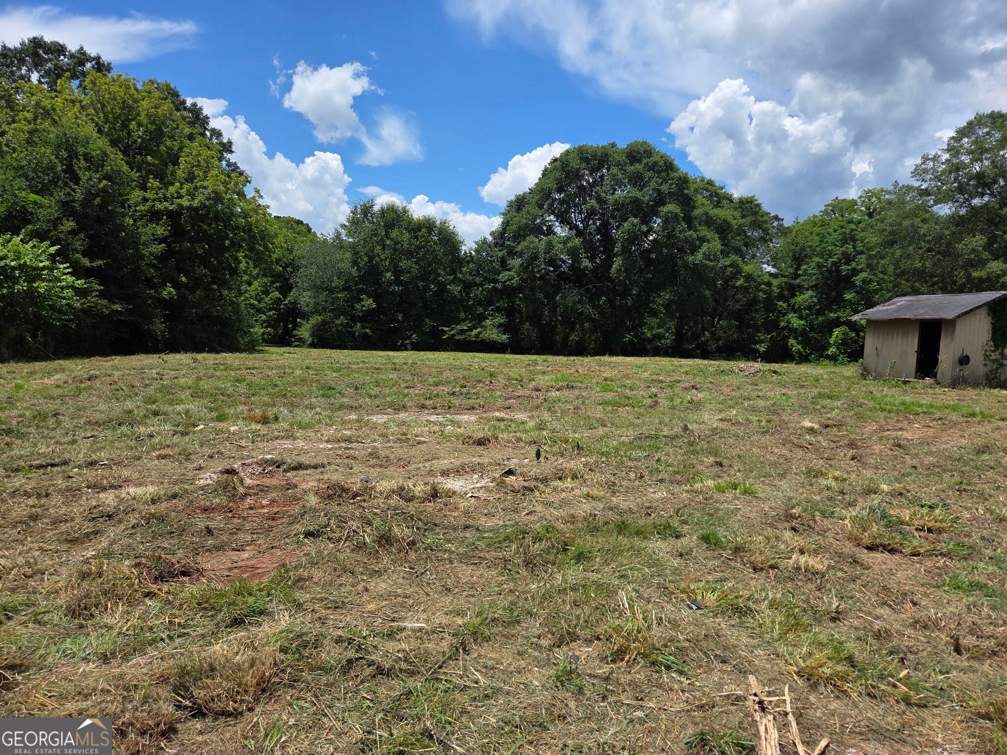 525 Ga Hwy 100 Property Photo 1