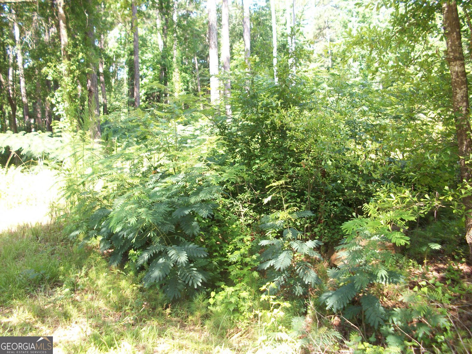 43 Shady Lane Property Photo 2