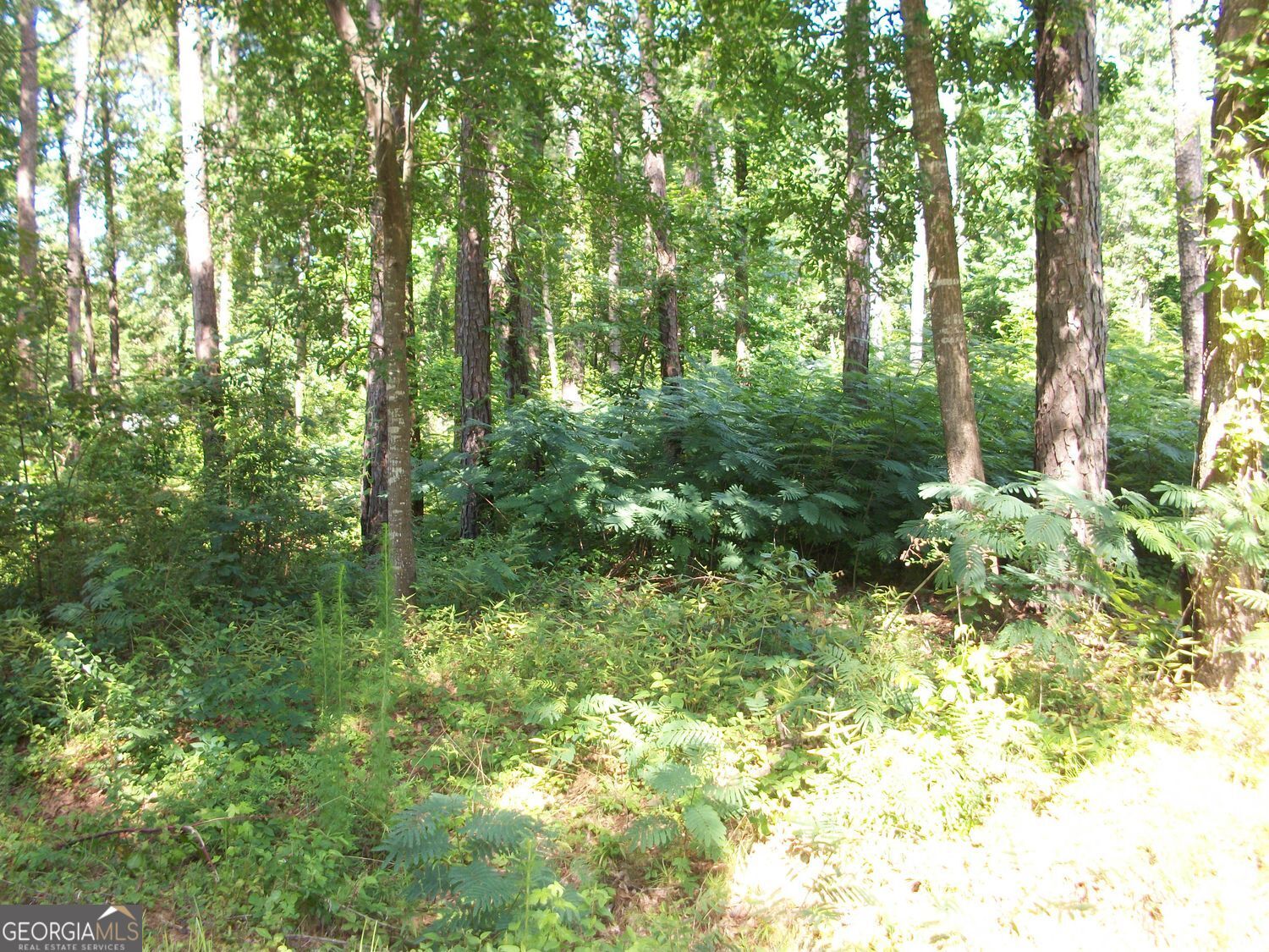 43 Shady Lane Property Photo 3