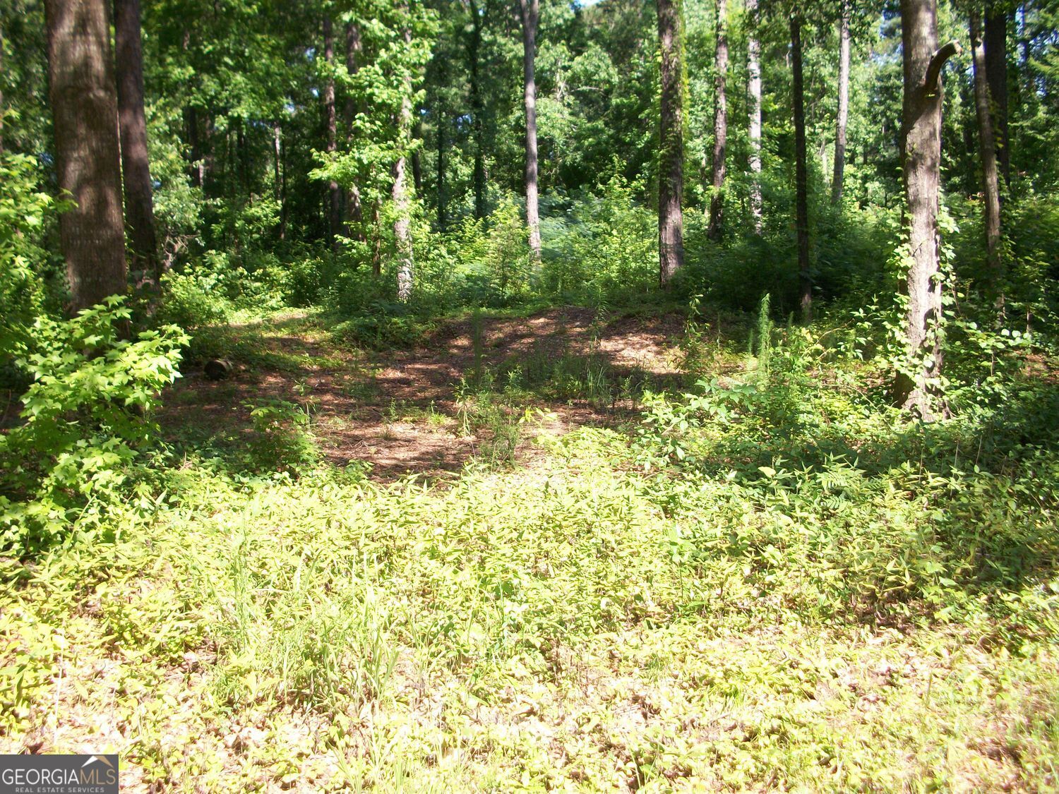 43 Shady Lane Property Photo 4