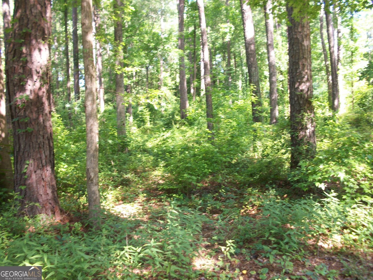 43 Shady Lane Property Photo 5