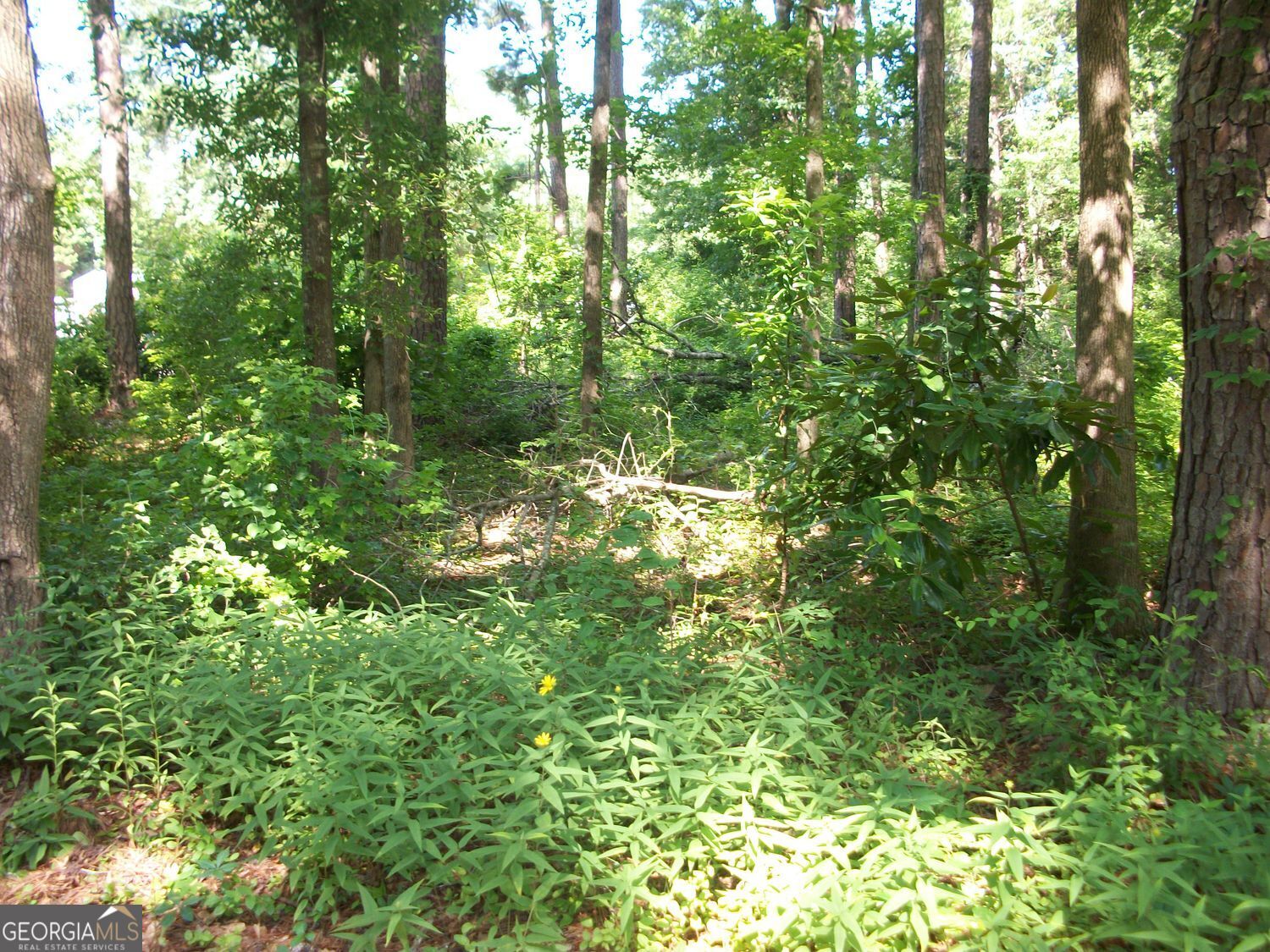 43 Shady Lane Property Photo 6