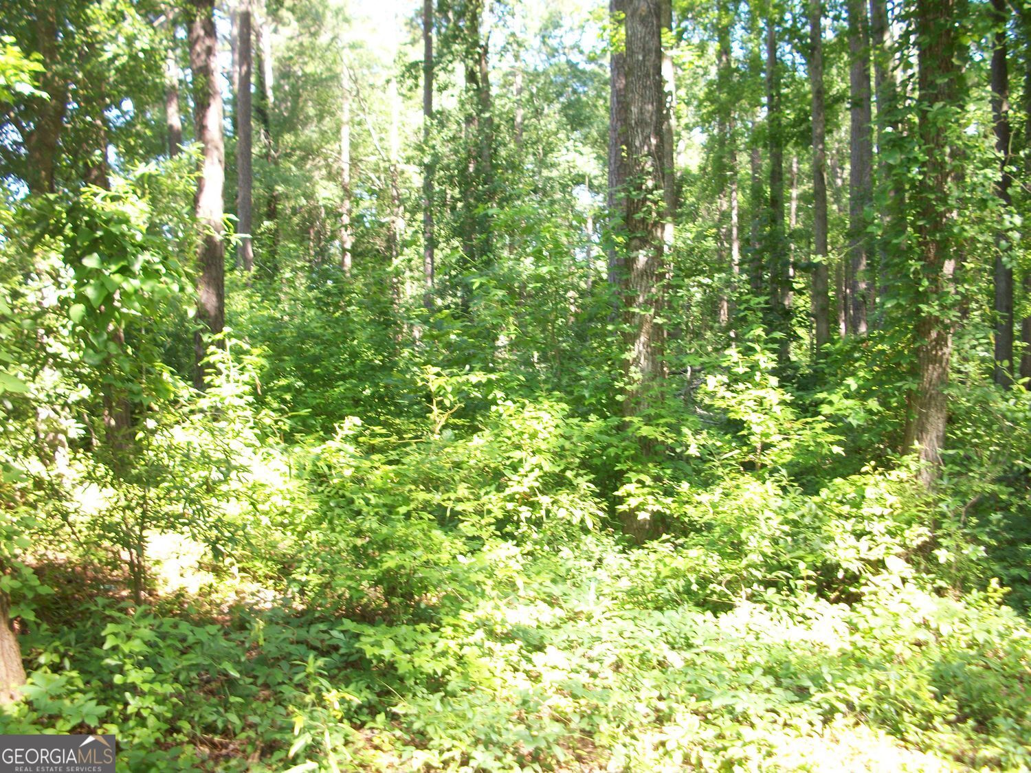 43 Shady Lane Property Photo 7