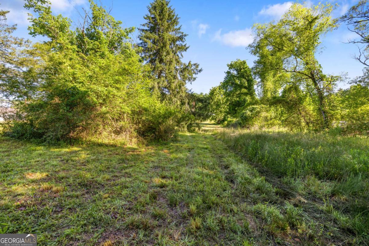169 King Street Property Photo 19