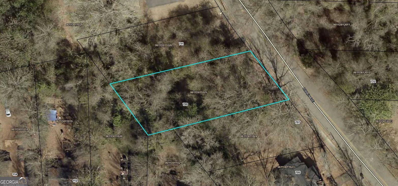709 Ridley Avenue Property Photo 1