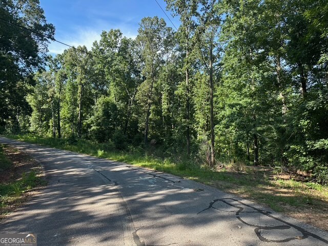Tract 2 Hickory Log Circle Property Photo 1