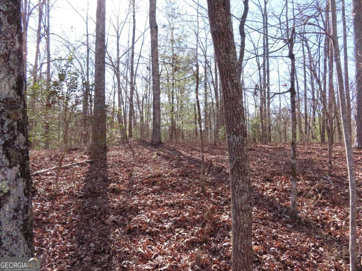 LOT 1906 Finale Street Property Photo 1