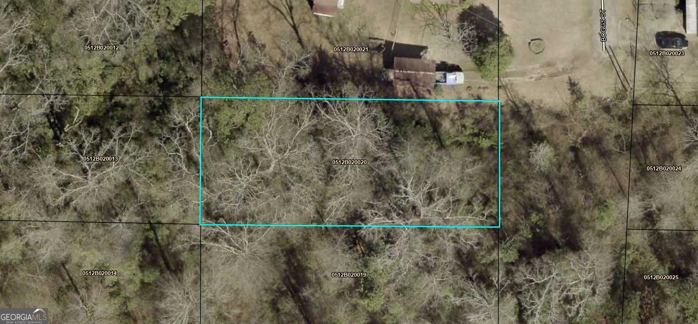 0 Boggs Street Property Photo 1