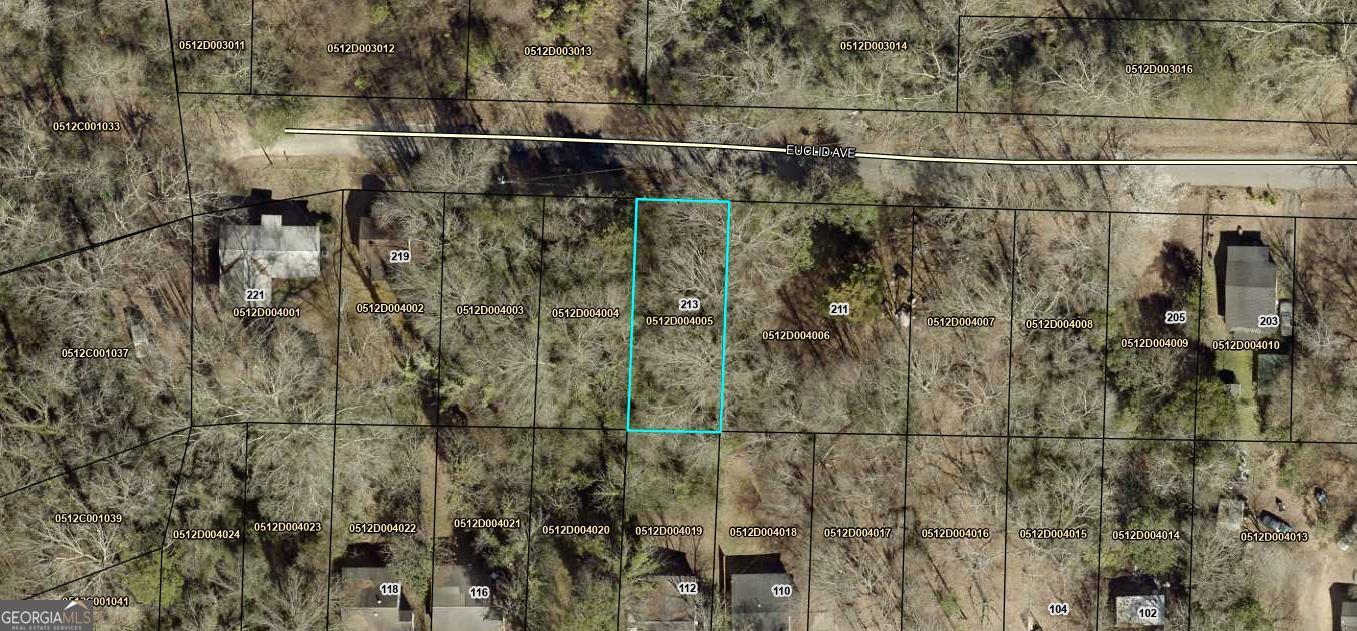 213 Euclid Avenue Property Photo 1