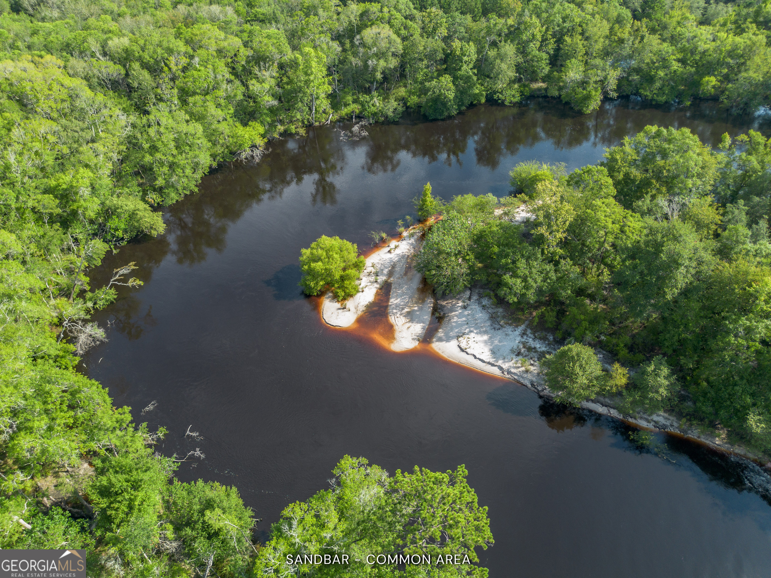 1360 Douglas Fish Camp Road Property Photo 2