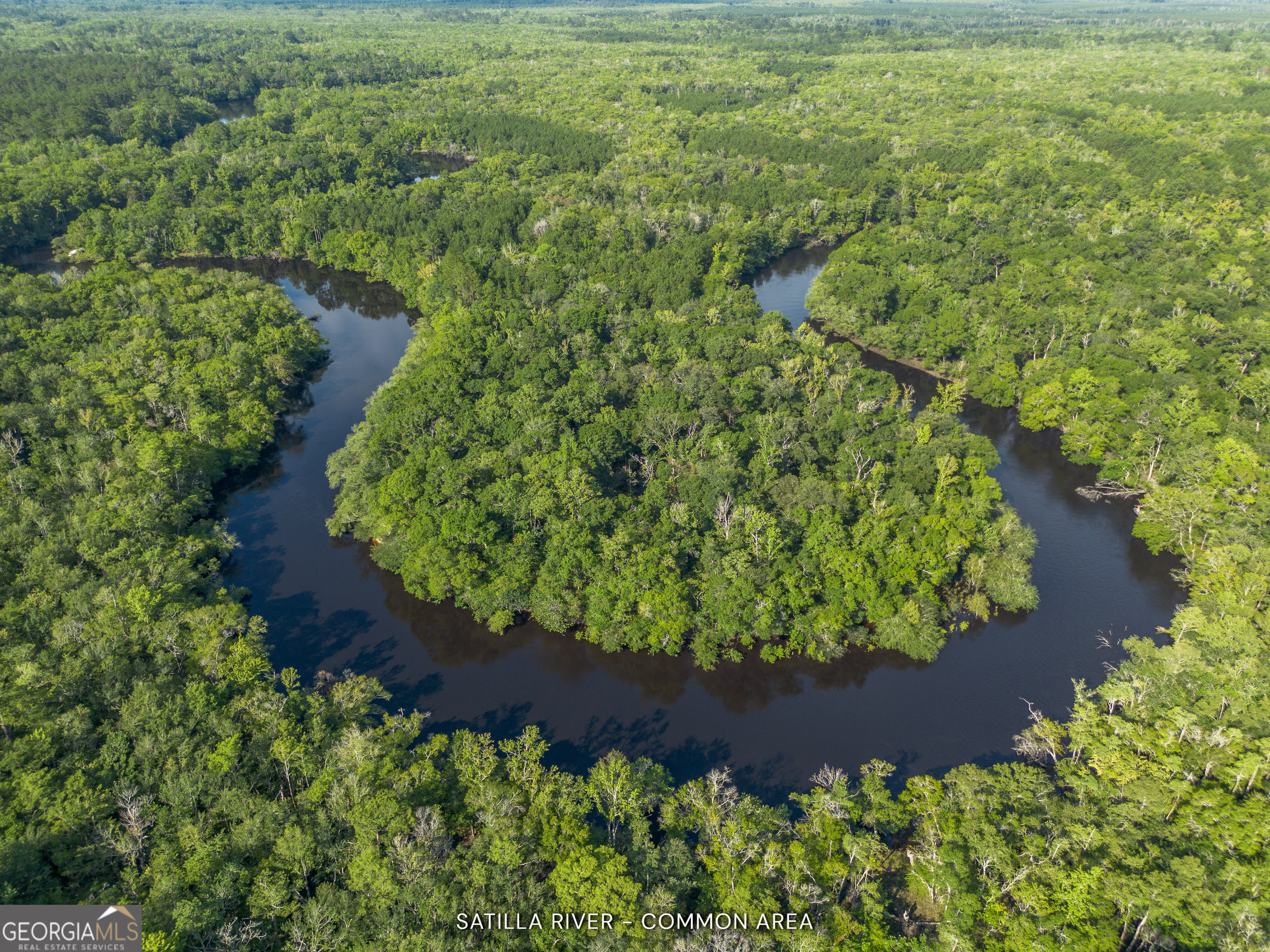 1360 Douglas Fish Camp Road Property Photo 6