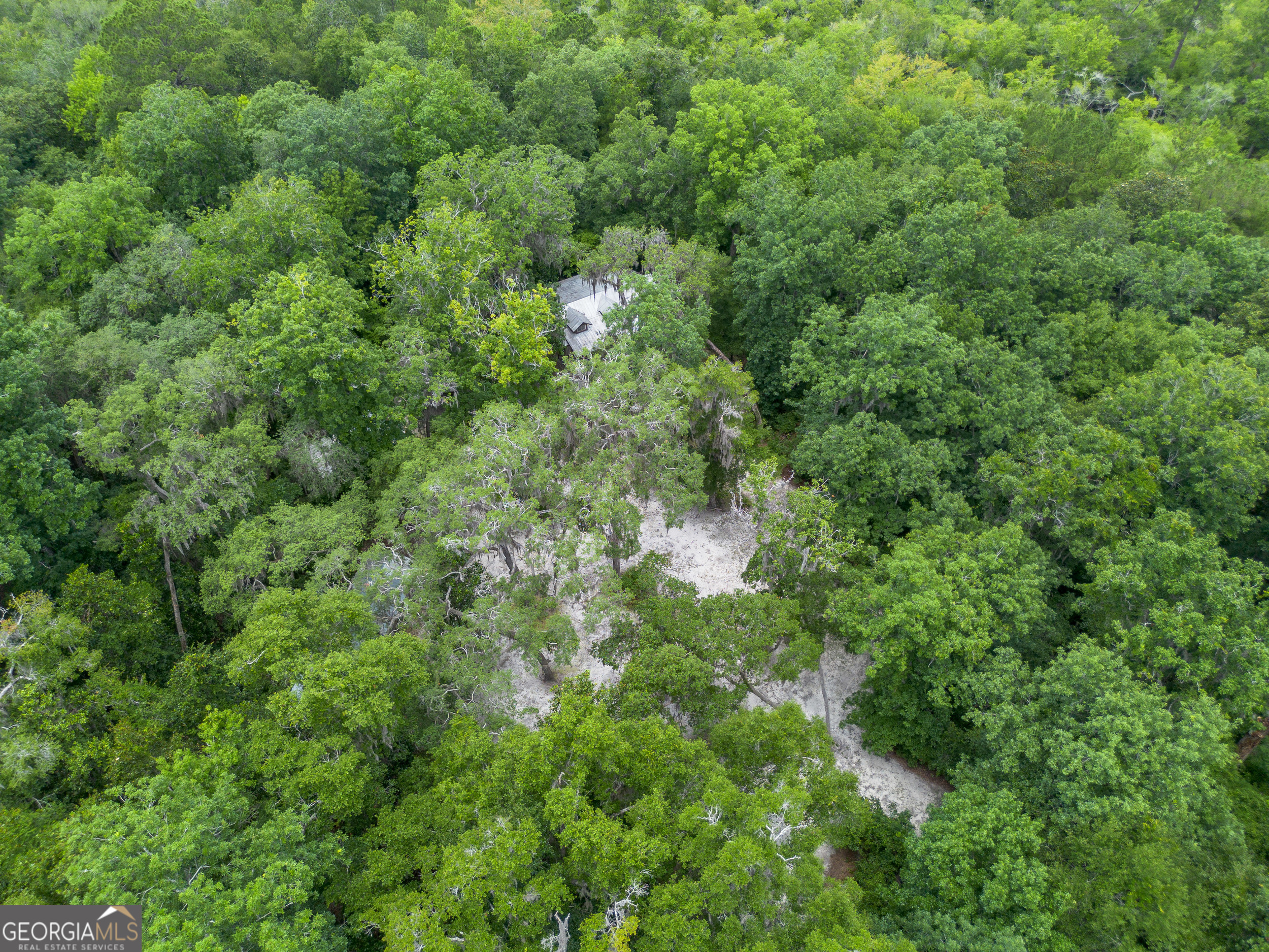 1360 Douglas Fish Camp Road Property Photo 7
