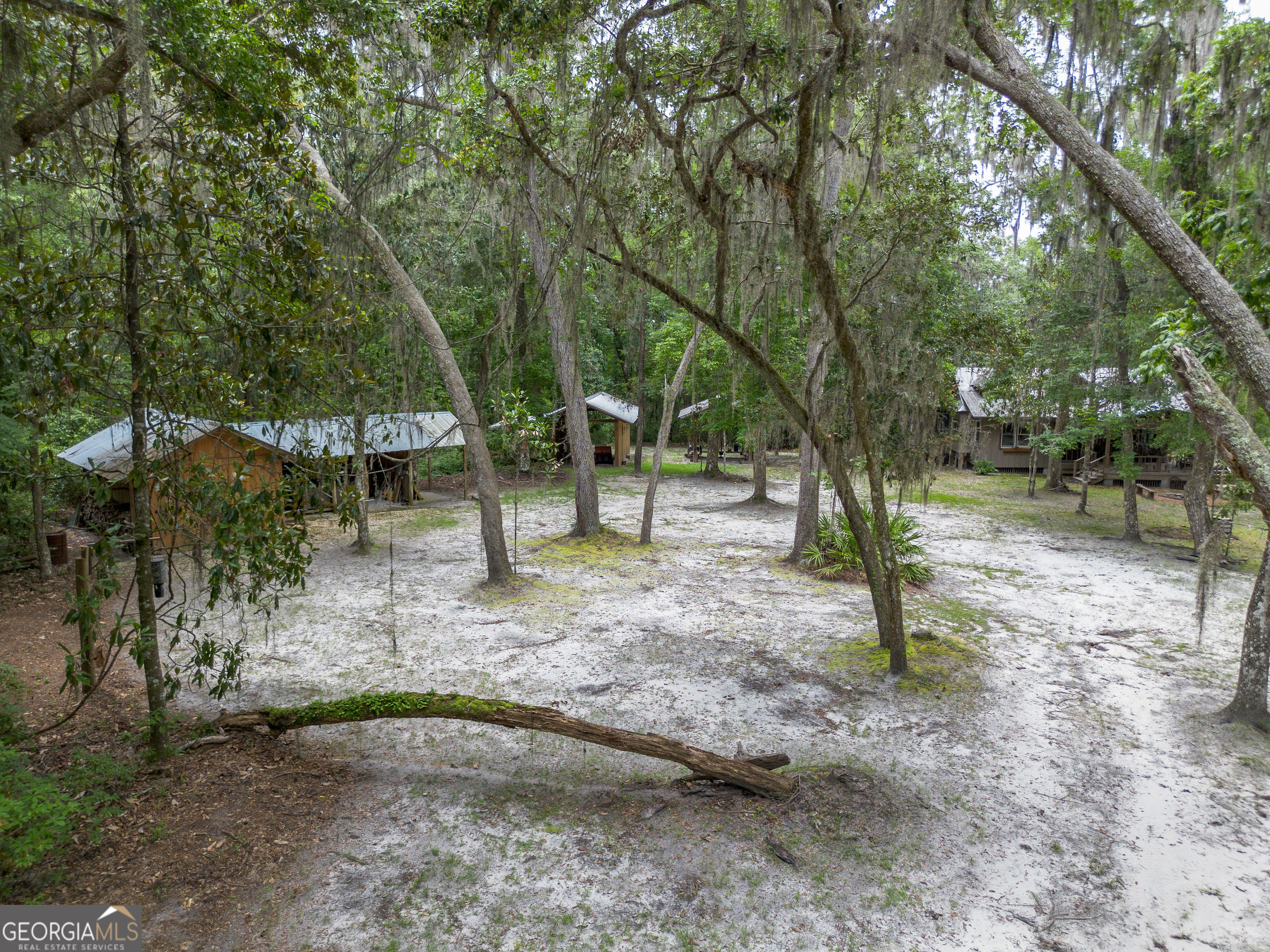 1360 Douglas Fish Camp Road Property Photo 8