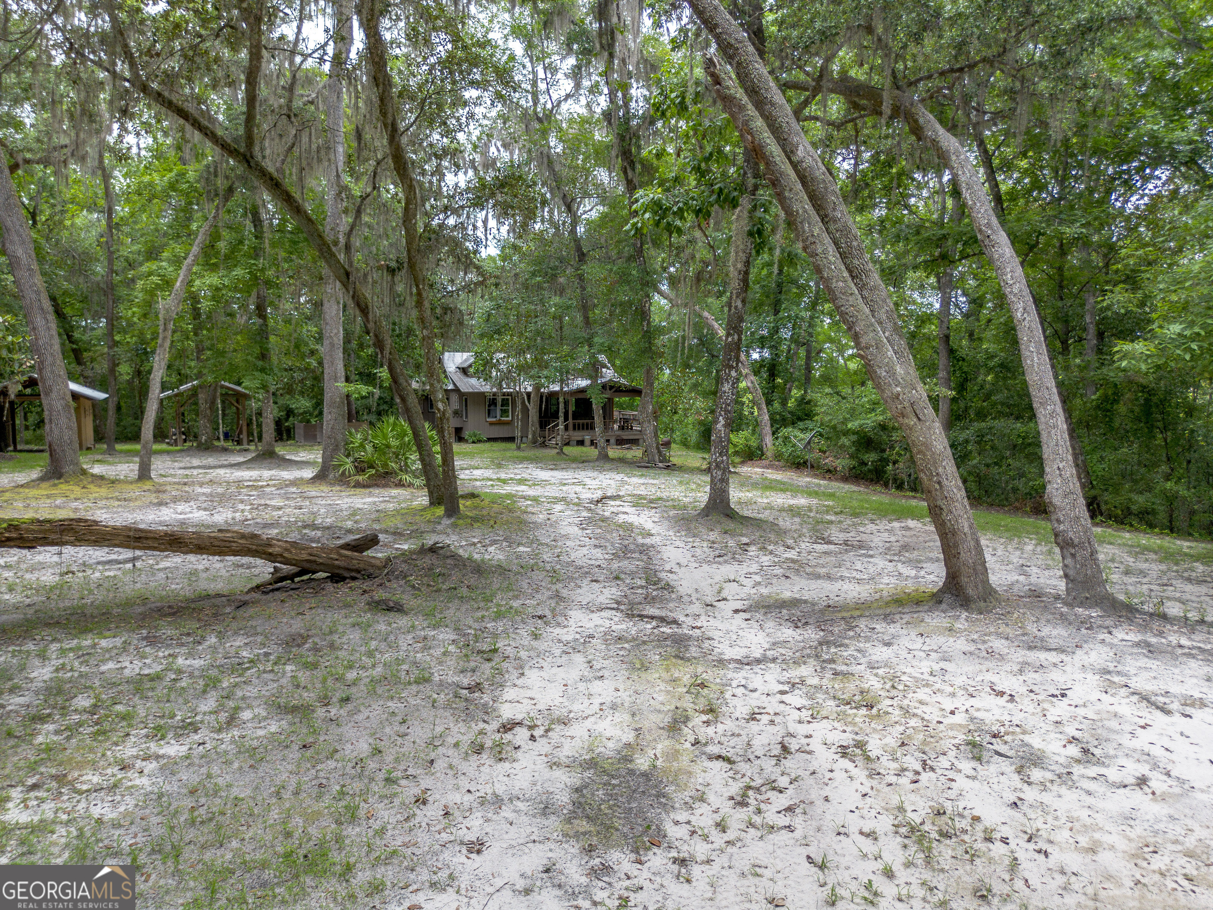 1360 Douglas Fish Camp Road Property Photo 9