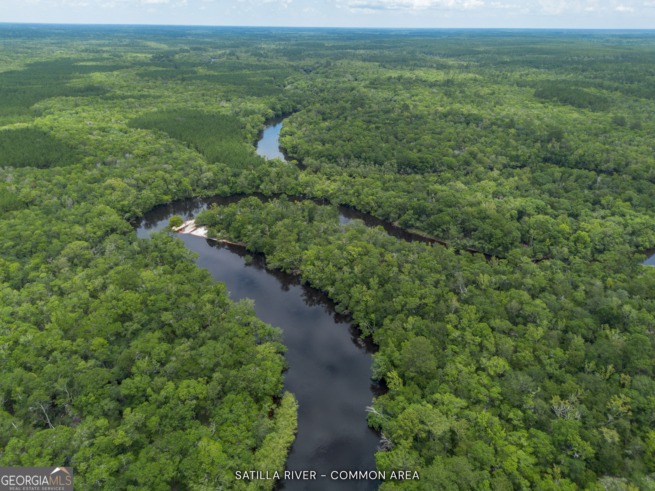 1360 Douglas Fish Camp Road Property Photo 15