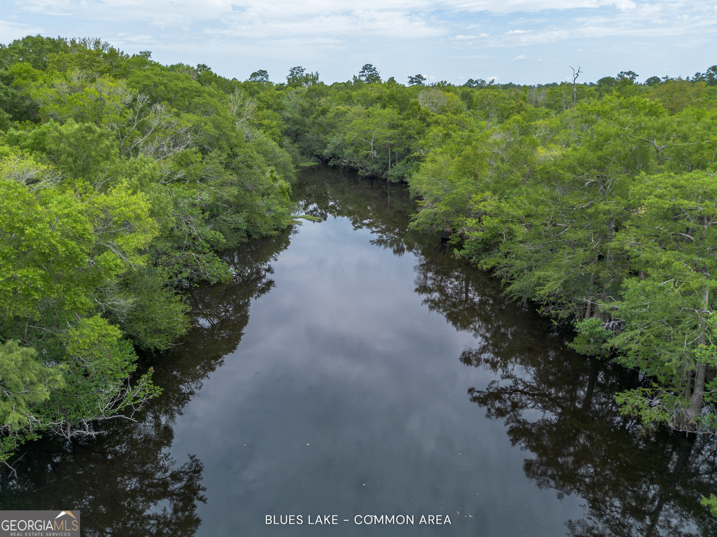 1360 Douglas Fish Camp Road Property Photo 16