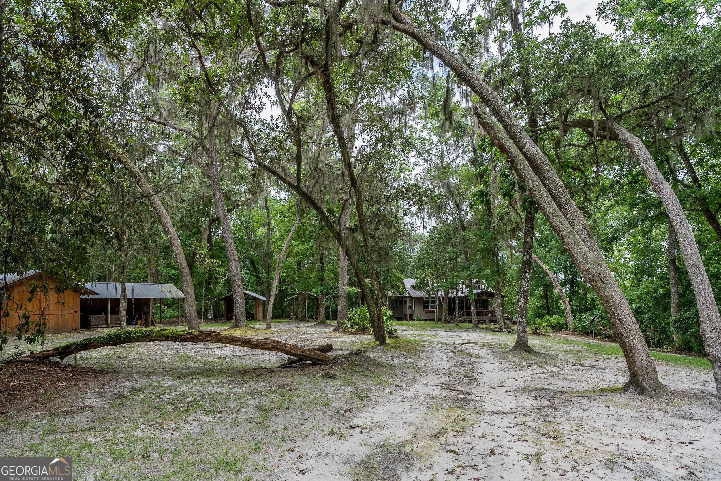 1360 Douglas Fish Camp Road Property Photo 22