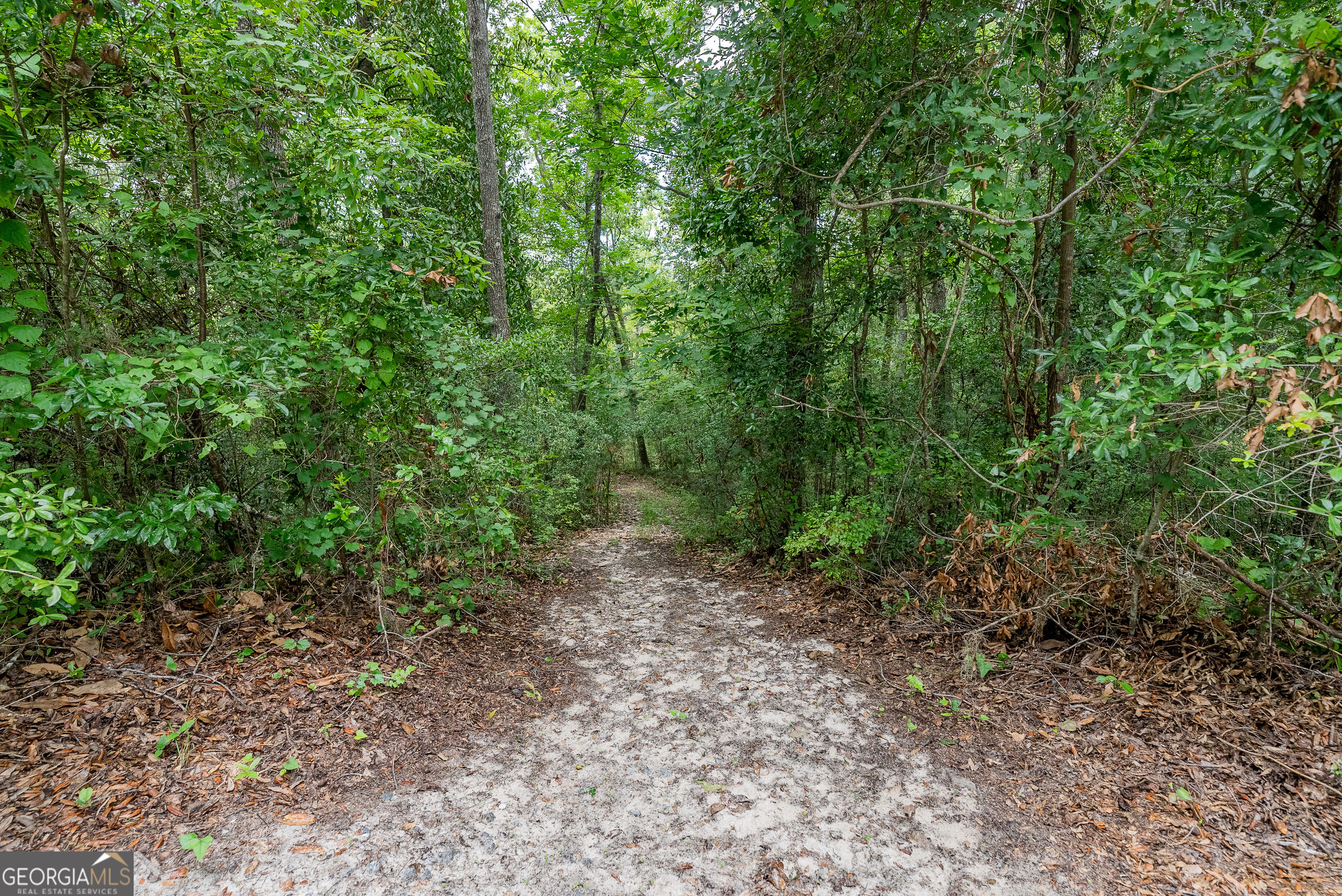 1360 Douglas Fish Camp Road Property Photo 27