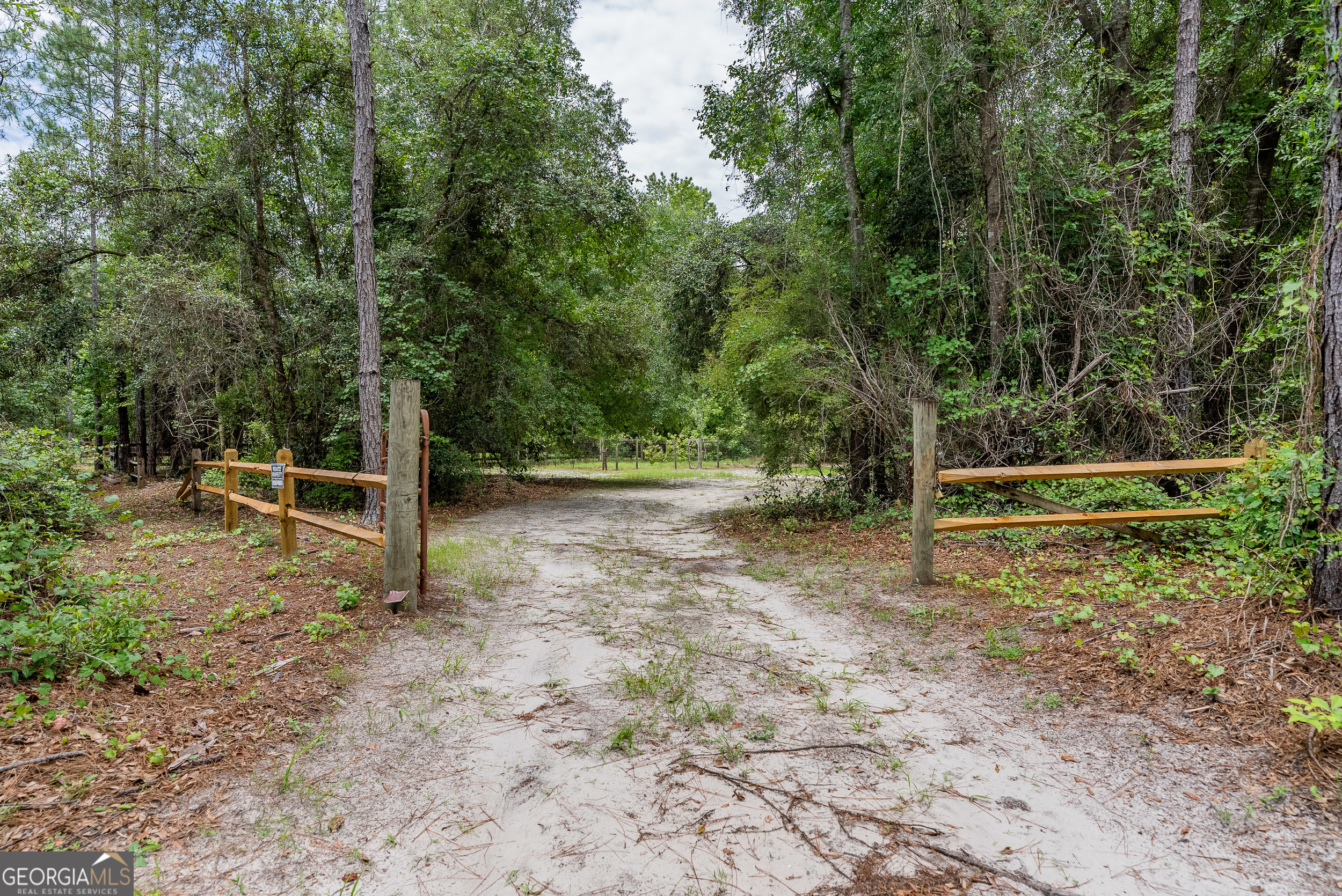 1360 Douglas Fish Camp Road Property Photo 29