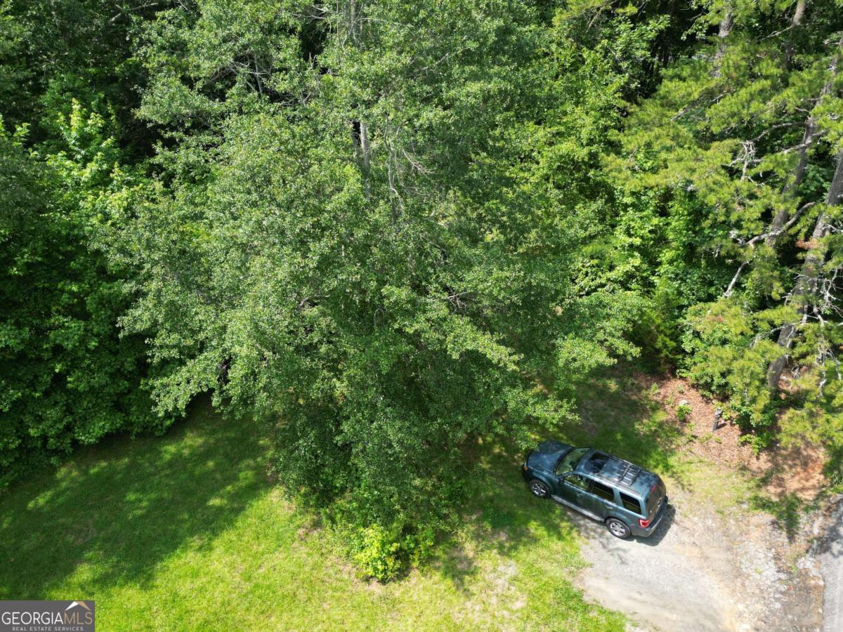 129 Green Forest Drive Property Photo 6
