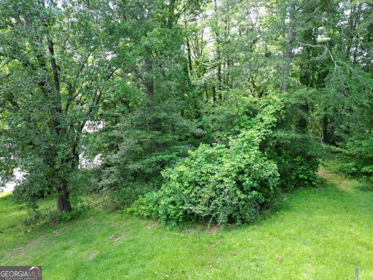 129 Green Forest Drive Property Photo 8