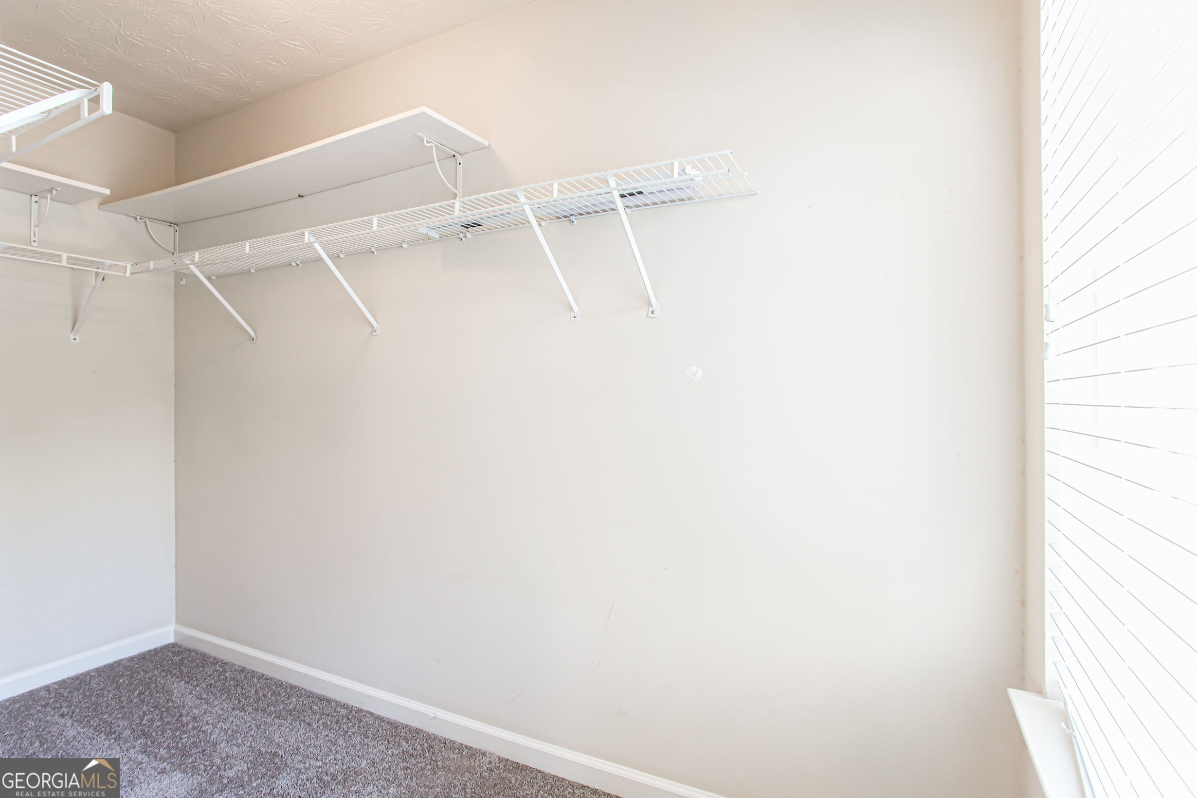 4628 Mcever View Drive Property Photo 18