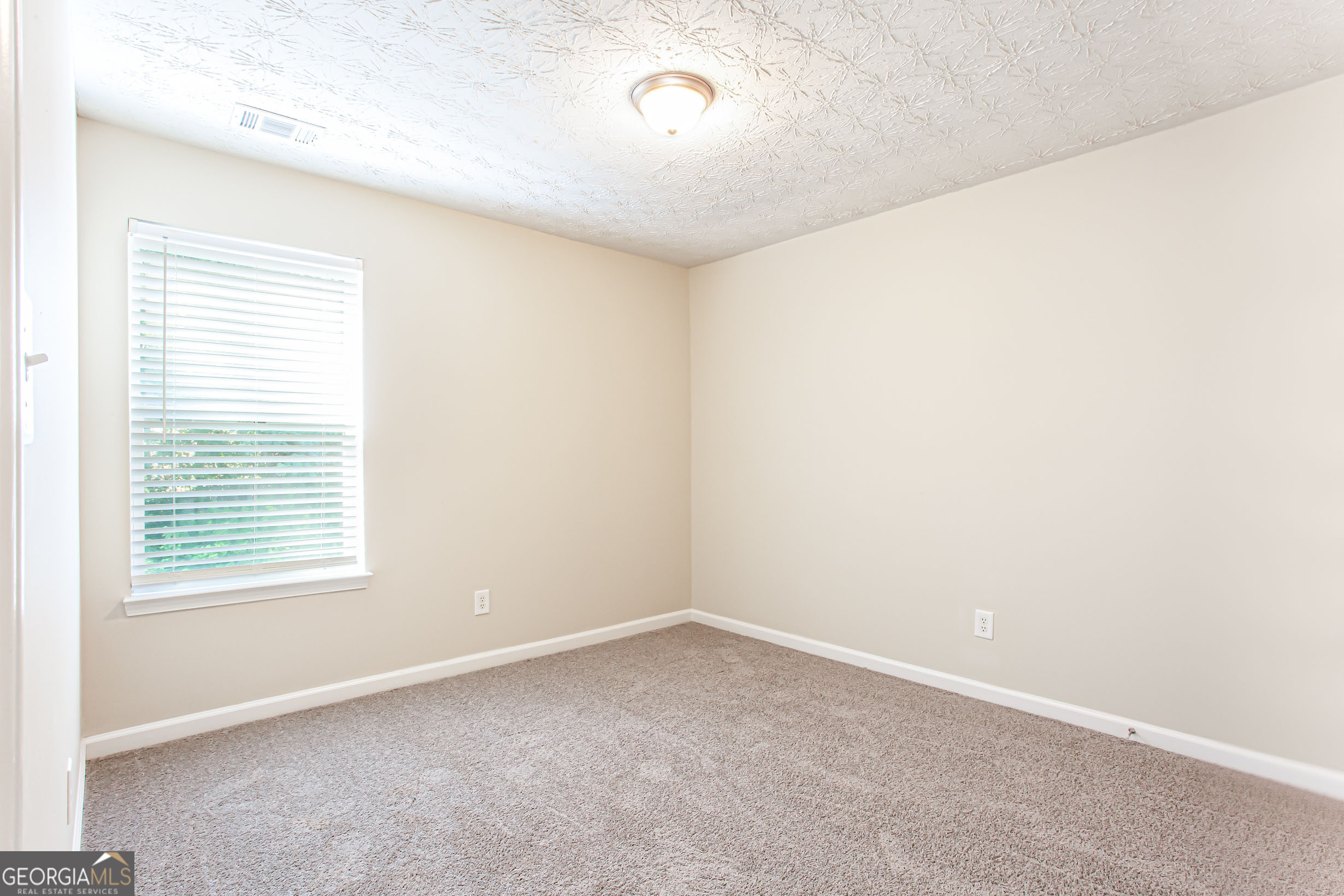 4628 Mcever View Drive Property Photo 21