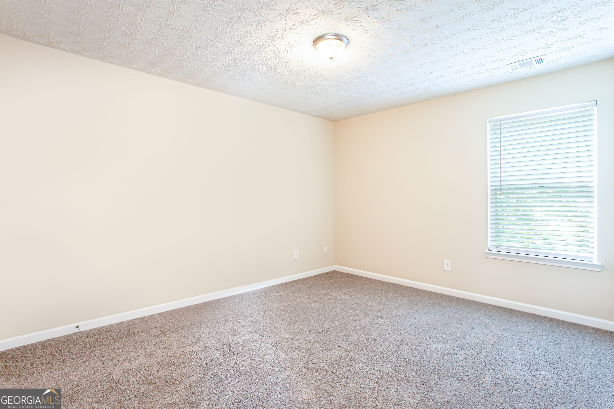4628 Mcever View Drive Property Photo 26