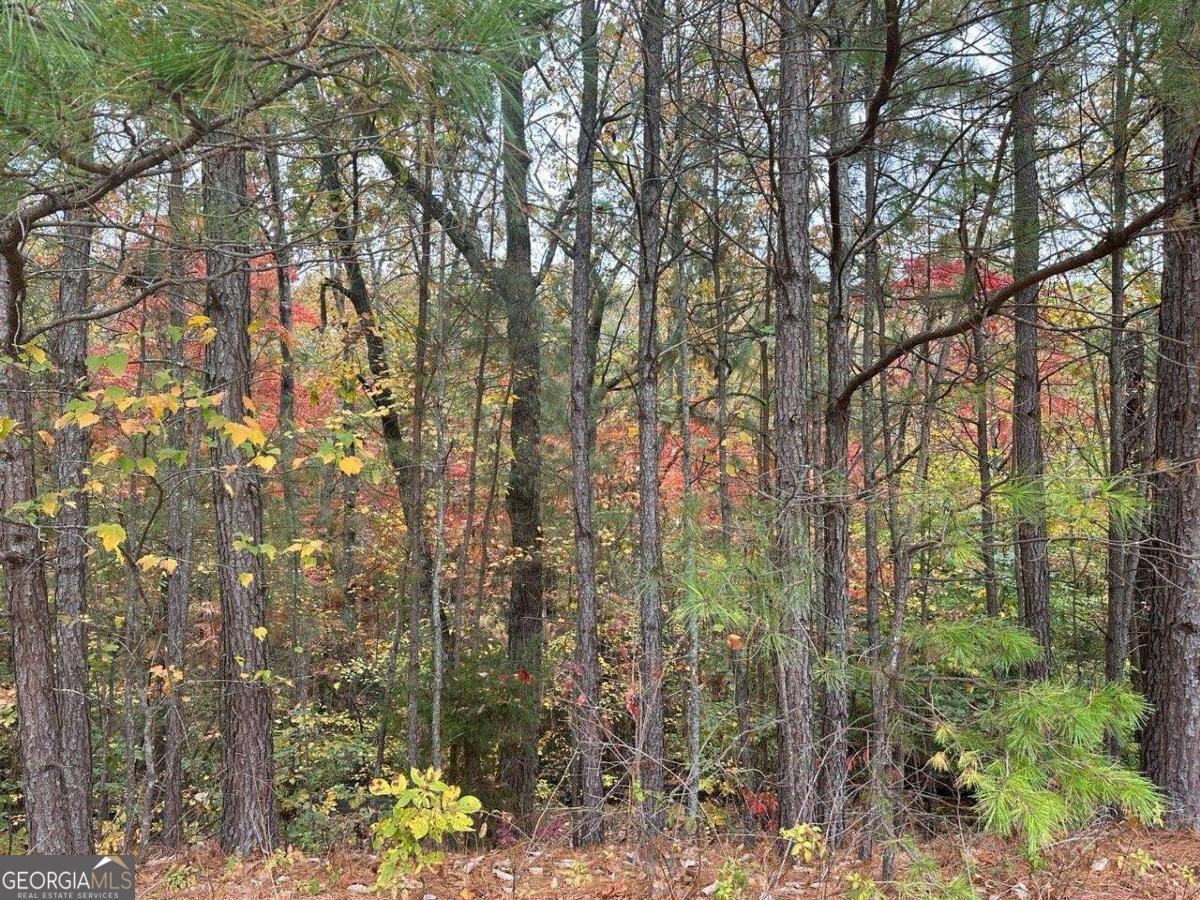 125 Spring Lake Trail Property Photo 1