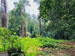 Lot 6 N Riverside Circle Property Photo 2
