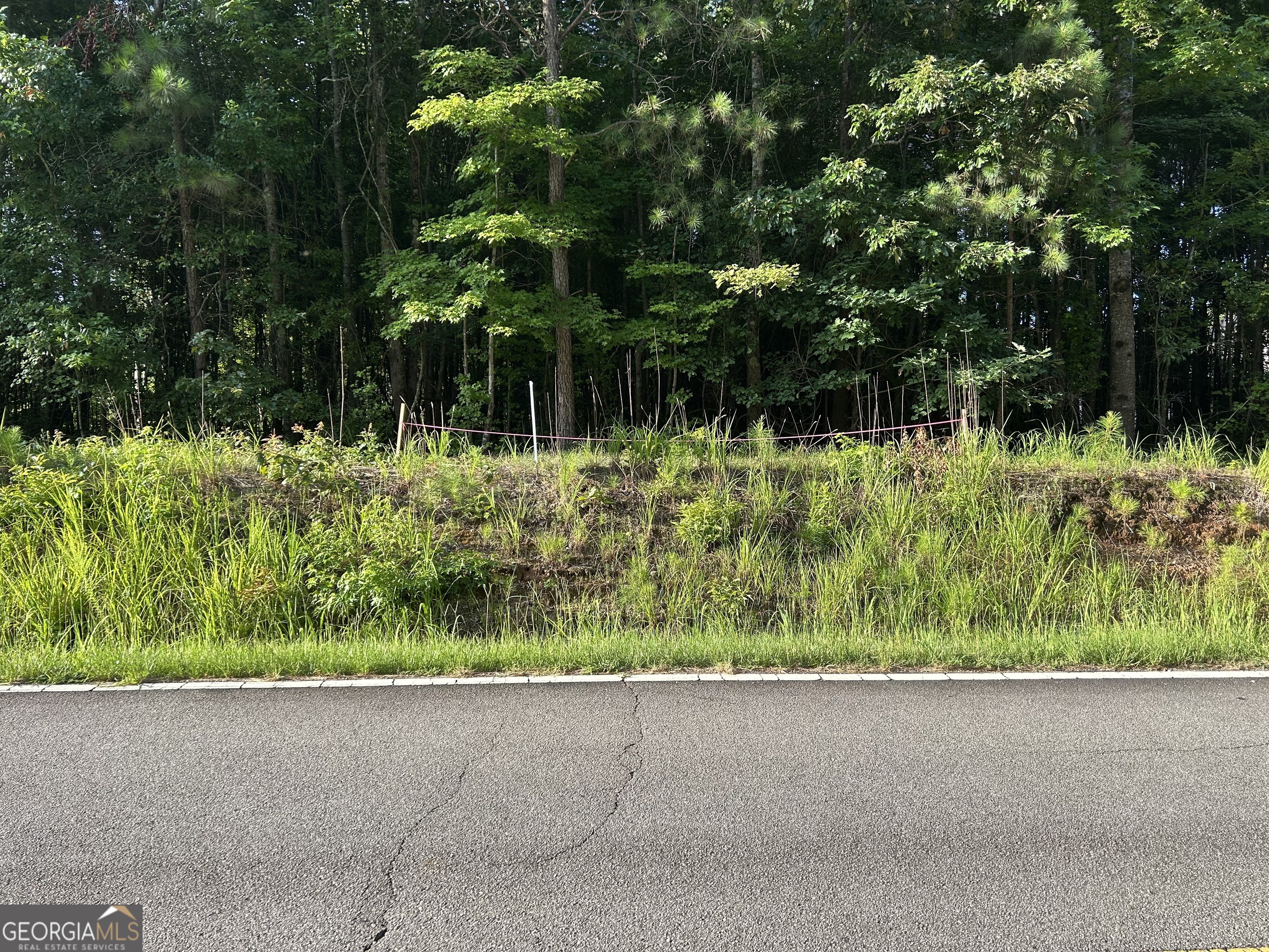 0 Tract 2 Little New York Road Property Photo 1