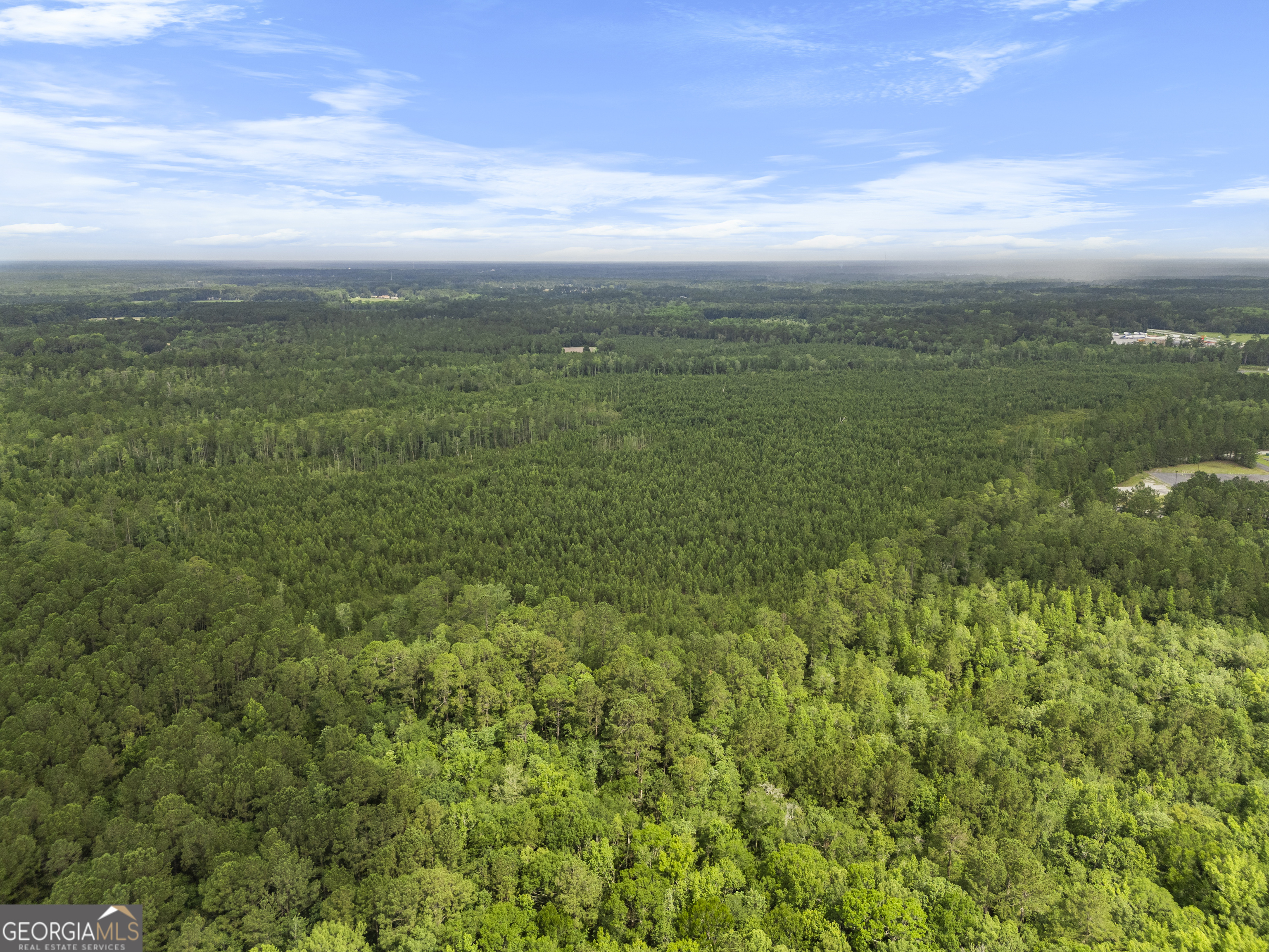 0 Rahn Station Road Property Photo 8