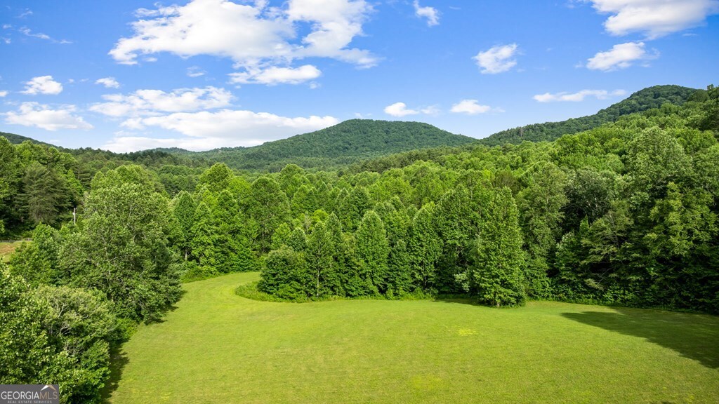225 Cohutta Ranch Road Property Photo 6
