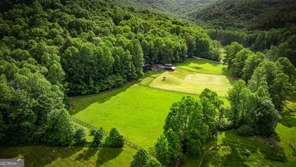 225 Cohutta Ranch Road Property Photo 8