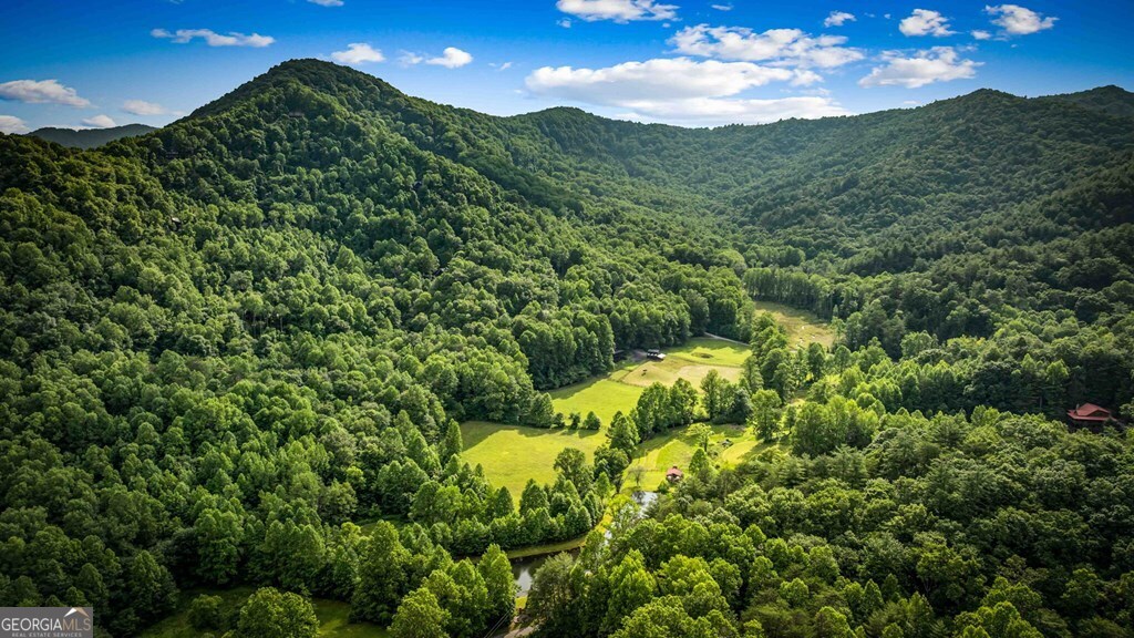 225 Cohutta Ranch Road Property Photo 11