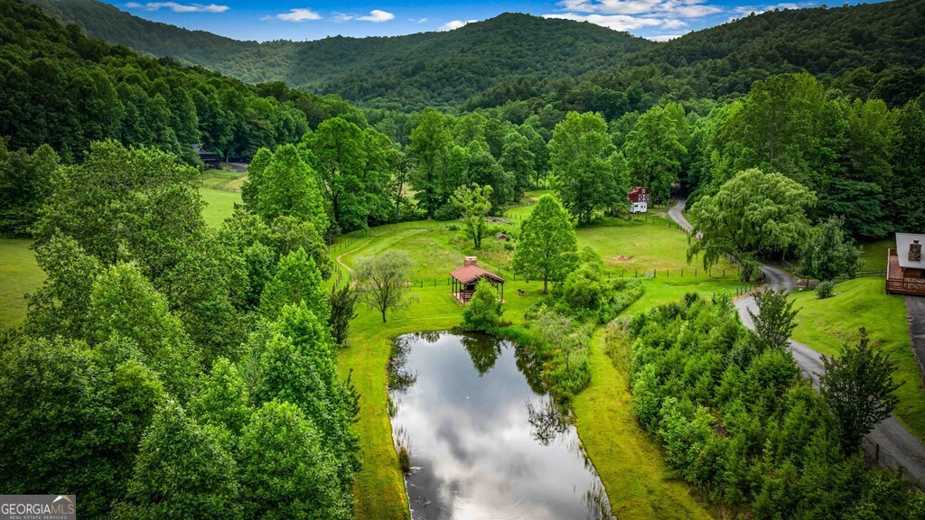 225 Cohutta Ranch Road Property Photo 16