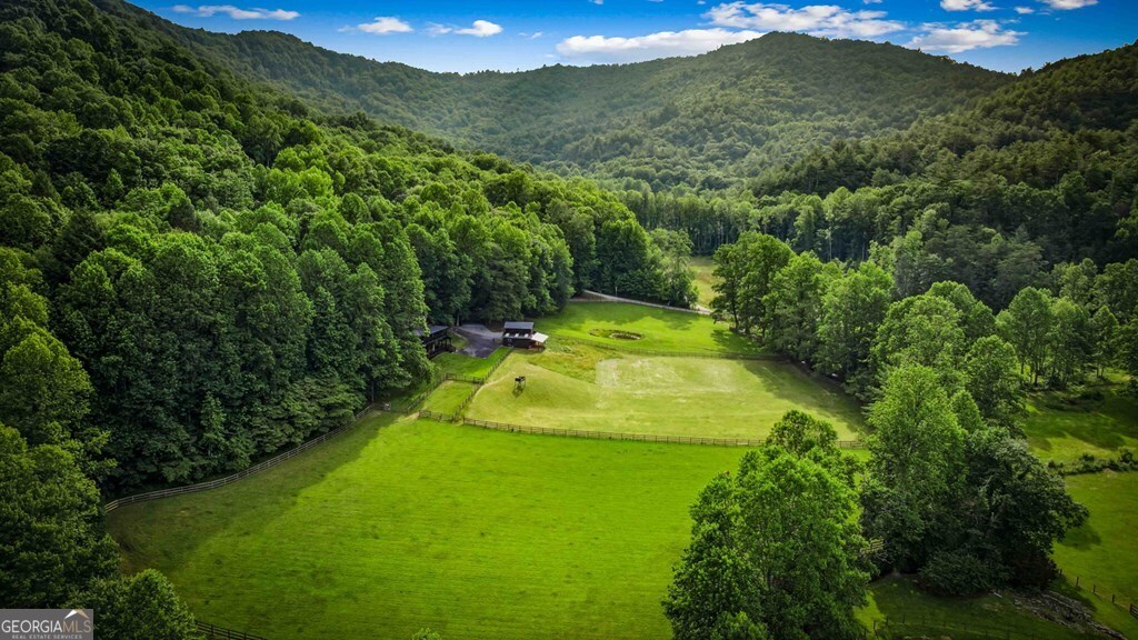 225 Cohutta Ranch Road Property Photo 18
