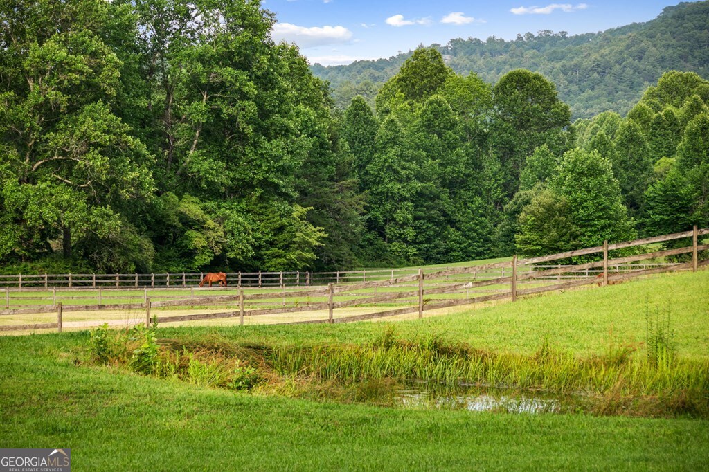 225 Cohutta Ranch Road Property Photo 73