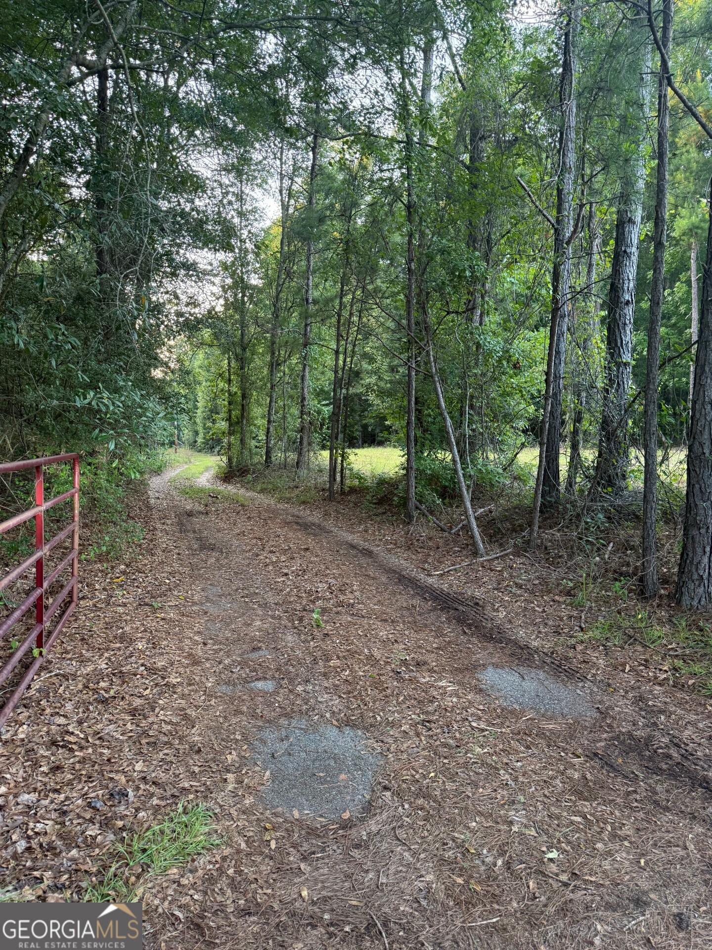 0 Us Hwy 27 Property Photo 1