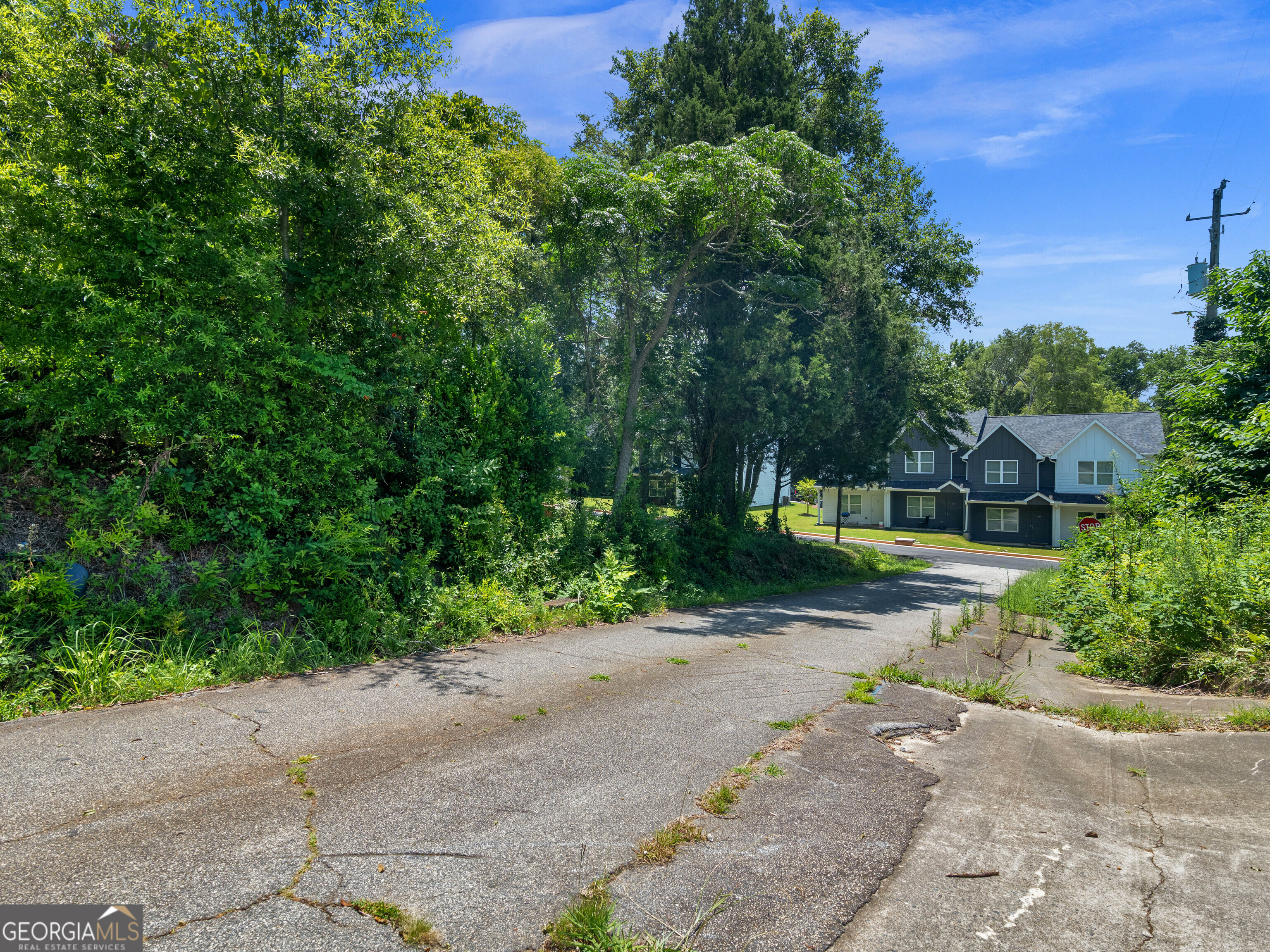 0 Phelps South Street Property Photo 4