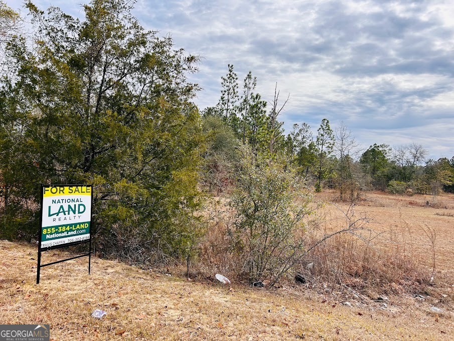 0 Georgia Road