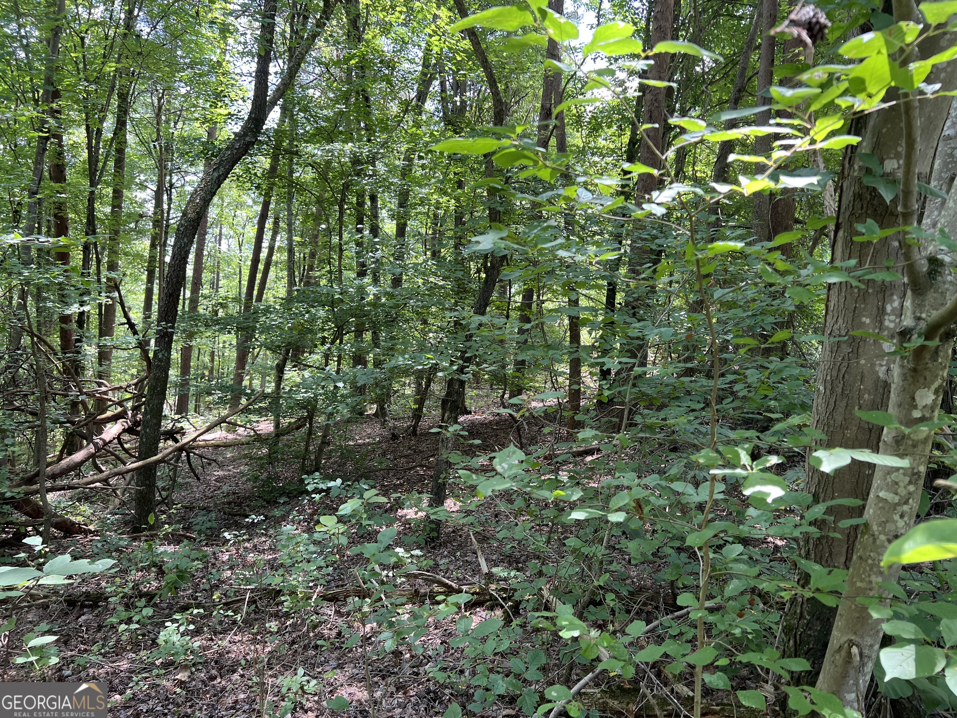 0 Lavender Trail