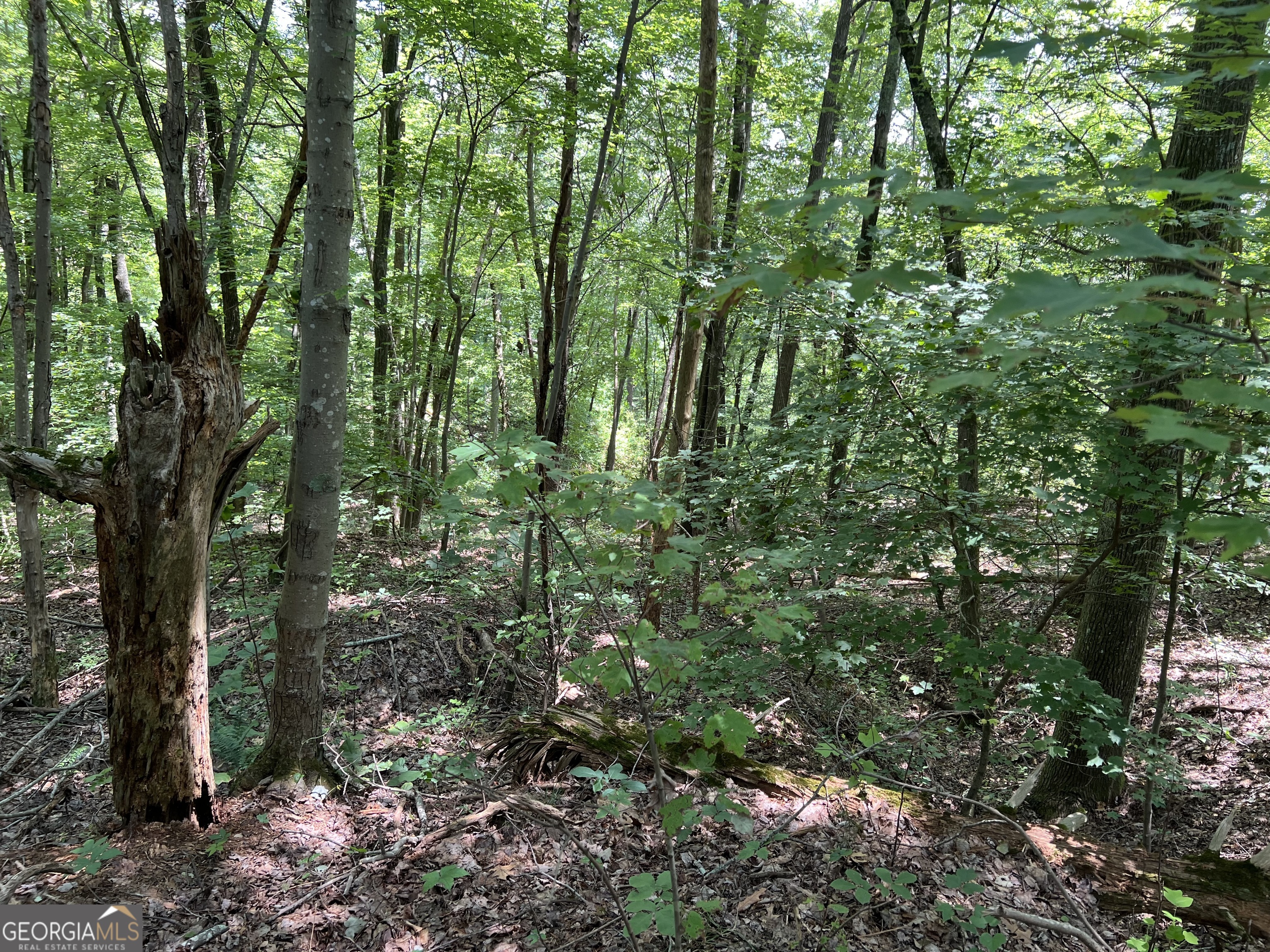 0 Lavender Trail Property Photo 2