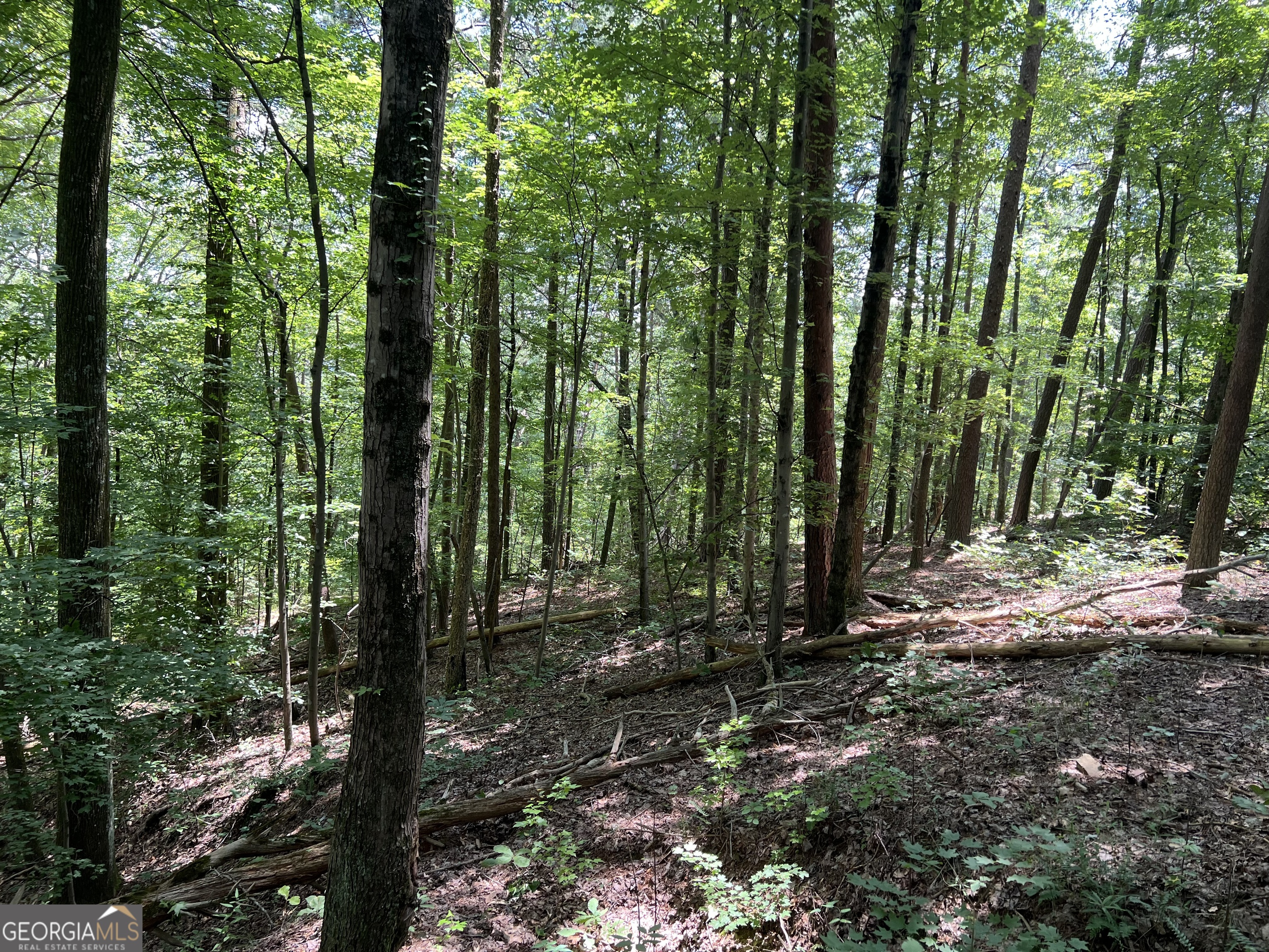 0 Lavender Trail Property Photo 3